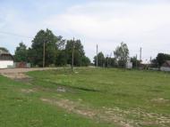 Товстоліс з panoramio.com