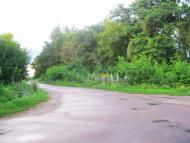 Деревини з panoramio.com