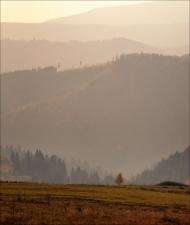 Пашківці з panoramio.com