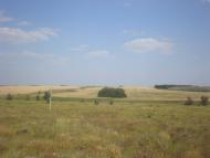 Радісне з panoramio.com