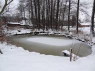 Дубечне з panoramio.com