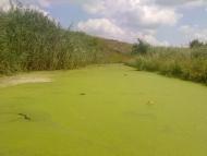 Сергіївка з panoramio.com