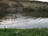 Дорогів з panoramio.com