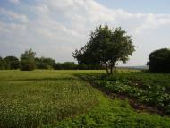 Жолоби з panoramio.com