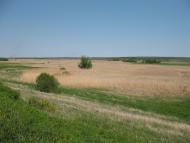 Аркадівка з panoramio.com