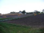 Косяківка з panoramio.com