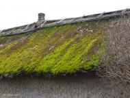 Сухолужжя з panoramio.com