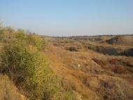 Ольшанське з panoramio.com