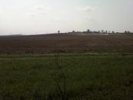 Великі Переліски - Останні фото