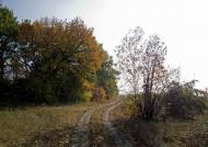 Новий Шлях з panoramio.com