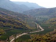 Ворон з panoramio.com