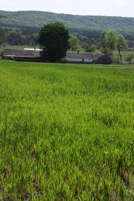 Черемошня з panoramio.com