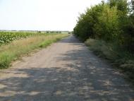 Новожеланное - Последние фото