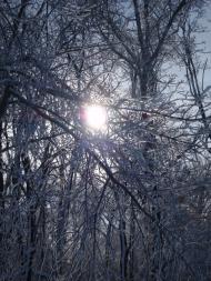 Усатове з panoramio.com