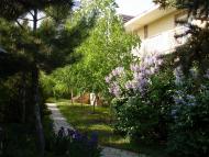 Велика Балка з panoramio.com