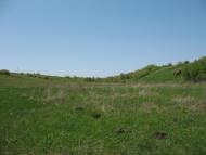 Аркадівка з panoramio.com