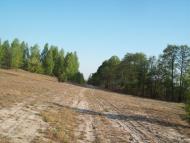 Пугач з panoramio.com