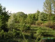 Климівка з panoramio.com