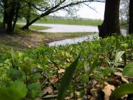 Підлісне з panoramio.com