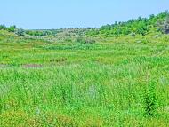 Оліївка з panoramio.com