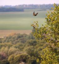 Demyno-Oleksandrivka - Latest photos