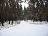 Булахівка з panoramio.com - Булаховка