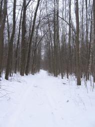 Микільське з panoramio.com