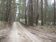 Сокирна з panoramio.com