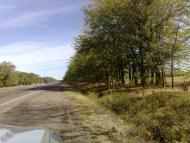 Софіївка з panoramio.com