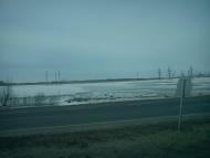 Рябці з panoramio.com