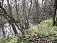 Федорівка з panoramio.com