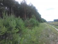 Березанка з panoramio.com