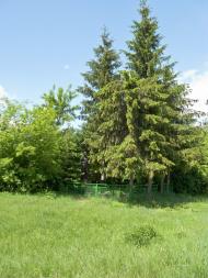 Трощин з panoramio.com