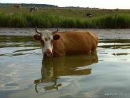 Завалля з panoramio.com