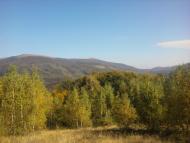 Лумшори з panoramio.com