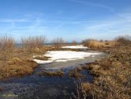 Сухолужжя з panoramio.com