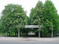 Кулиничі з panoramio.com