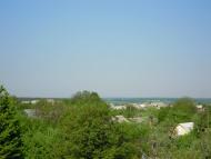 Селевинці з panoramio.com