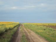 Веселий Кут з panoramio.com