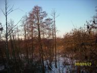 Варва з panoramio.com