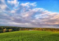 Грушівка з panoramio.com