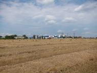 Селевинці з panoramio.com - Селевинці