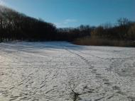 Піщанка - Останні фото