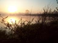 Пугач з panoramio.com