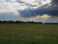 Високе - Останні фото