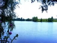 Вороне з panoramio.com