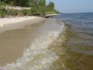 Боровиця з panoramio.com