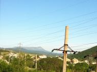 Тополі з panoramio.com