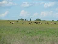 Рудка з panoramio.com