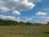 Артема з panoramio.com